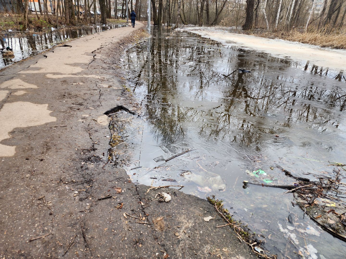 выездная администрация, орехово-зуево,