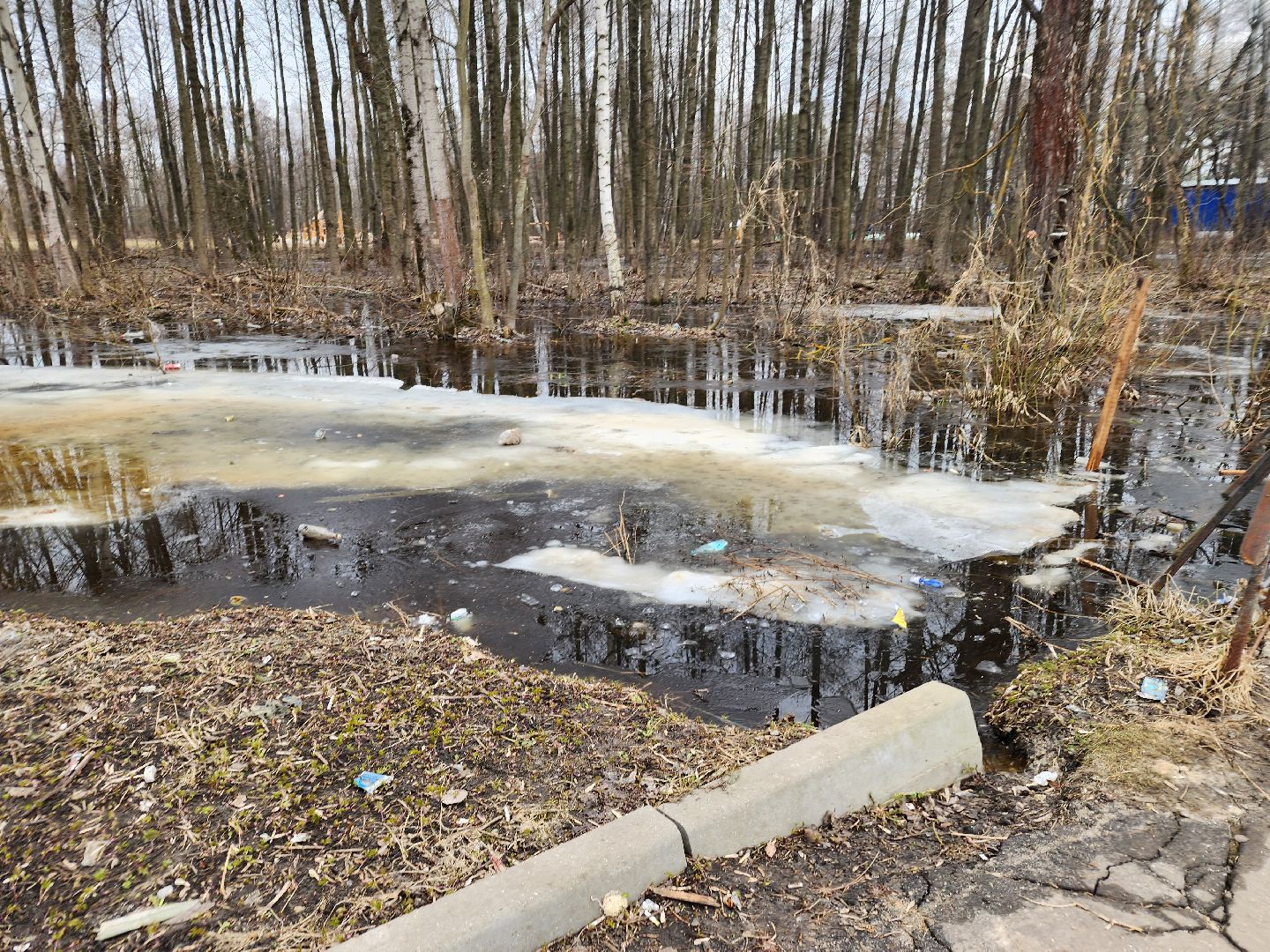 выездная администрация, орехово-зуево,