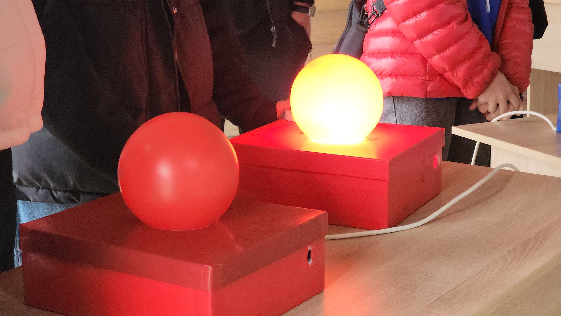 экологический квиз, экология, краеведческий музей, рузский городской округ, рузский краеведческий музей, парк городок, Руза,