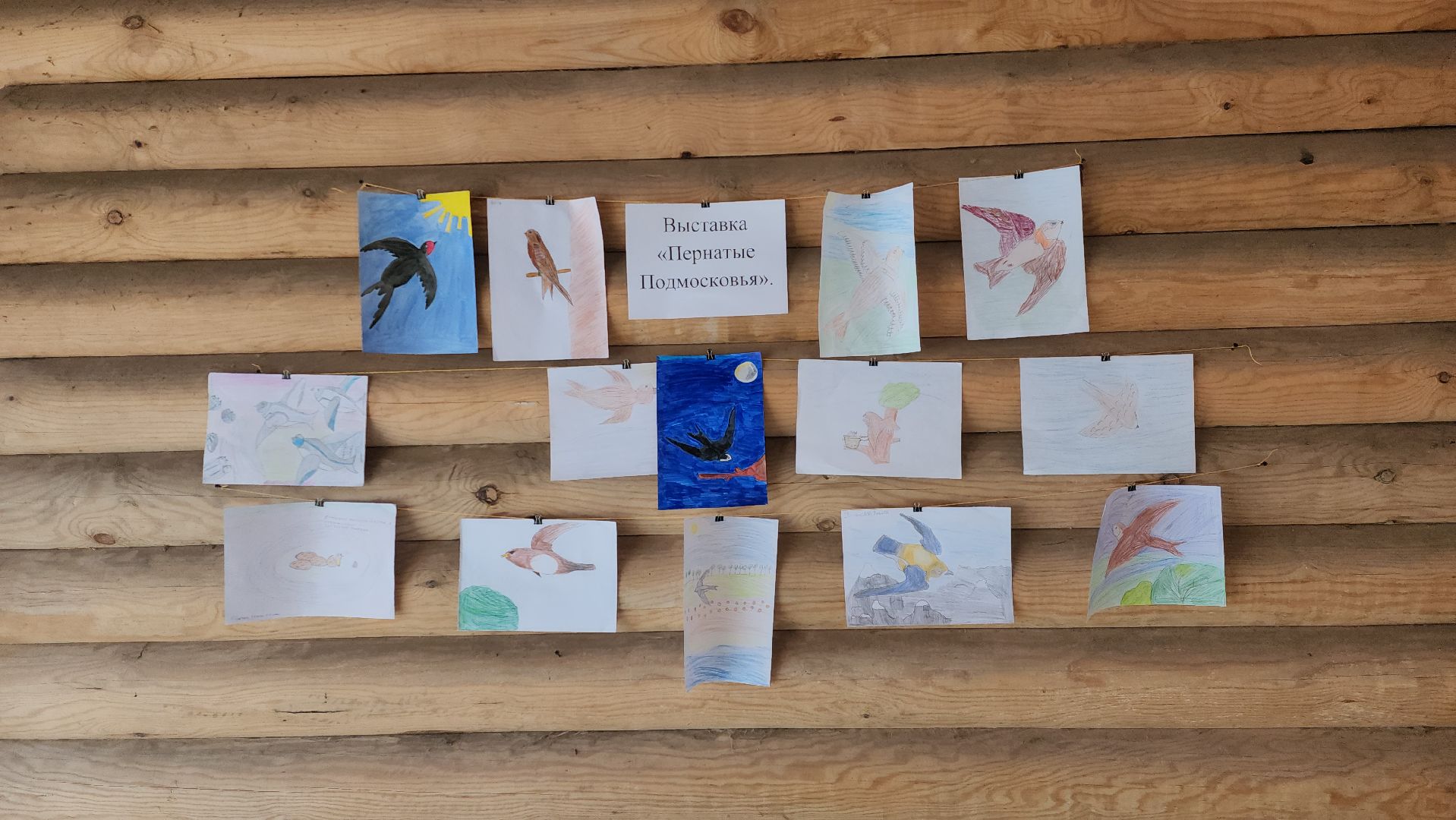 экологический квиз, экология, краеведческий музей, рузский городской округ, рузский краеведческий музей, парк городок, Руза,