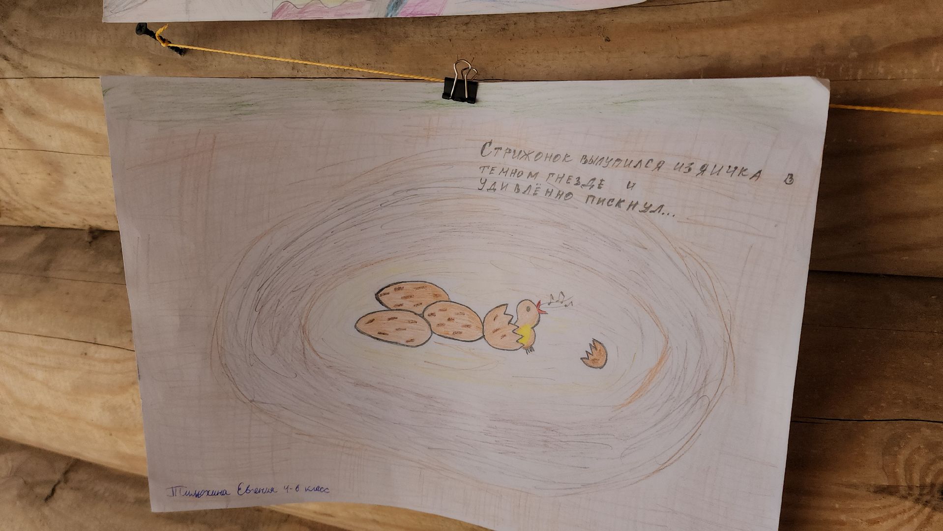 экологический квиз, экология, краеведческий музей, рузский городской округ, рузский краеведческий музей, парк городок, Руза,