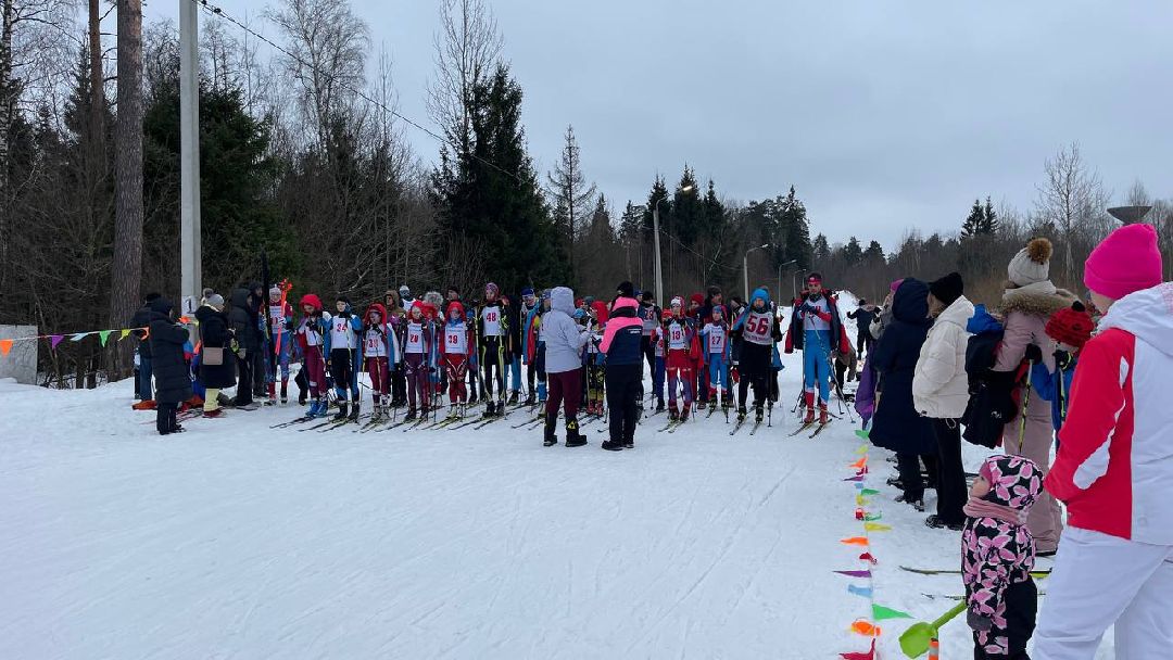 Краснознаменск, общество