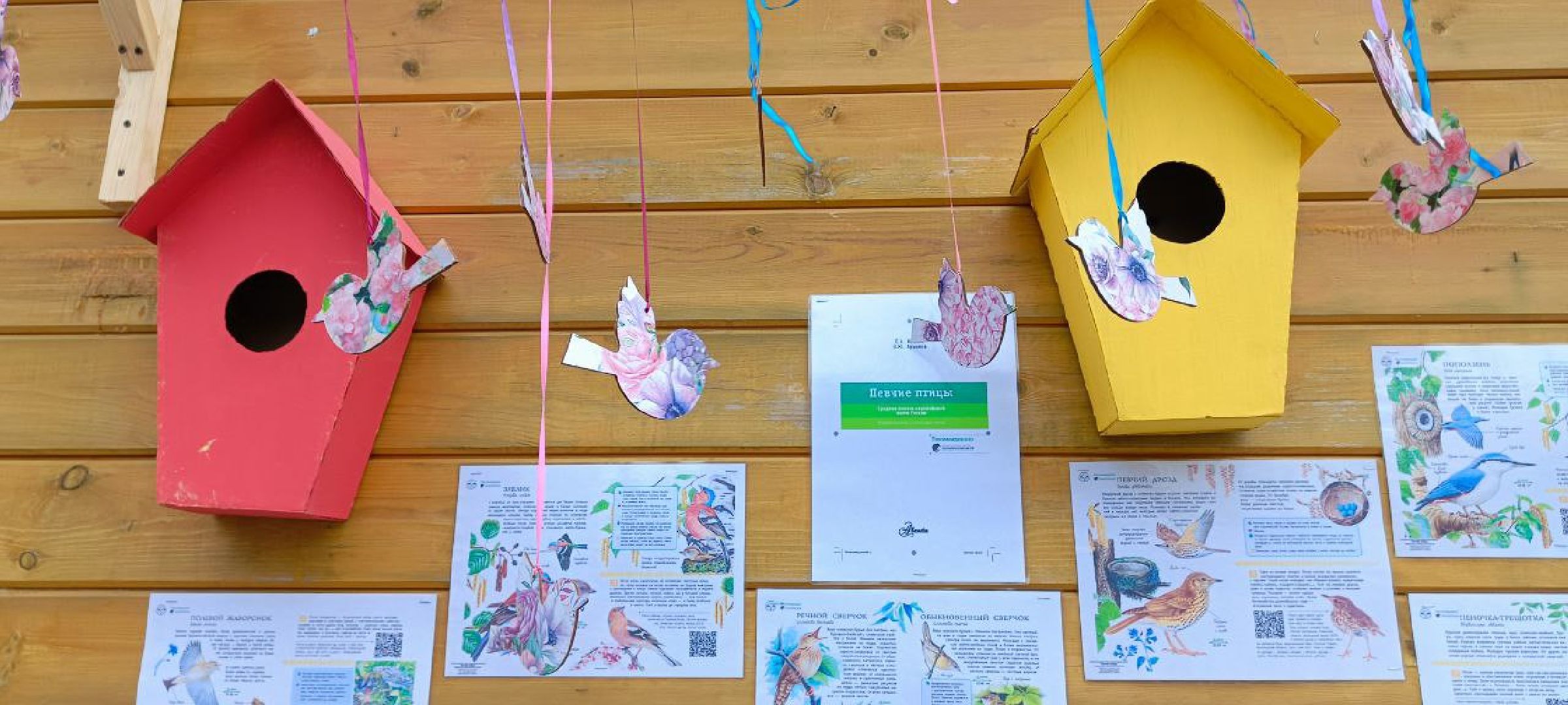 Талдом, Парк Победа, Пернатые в парках,