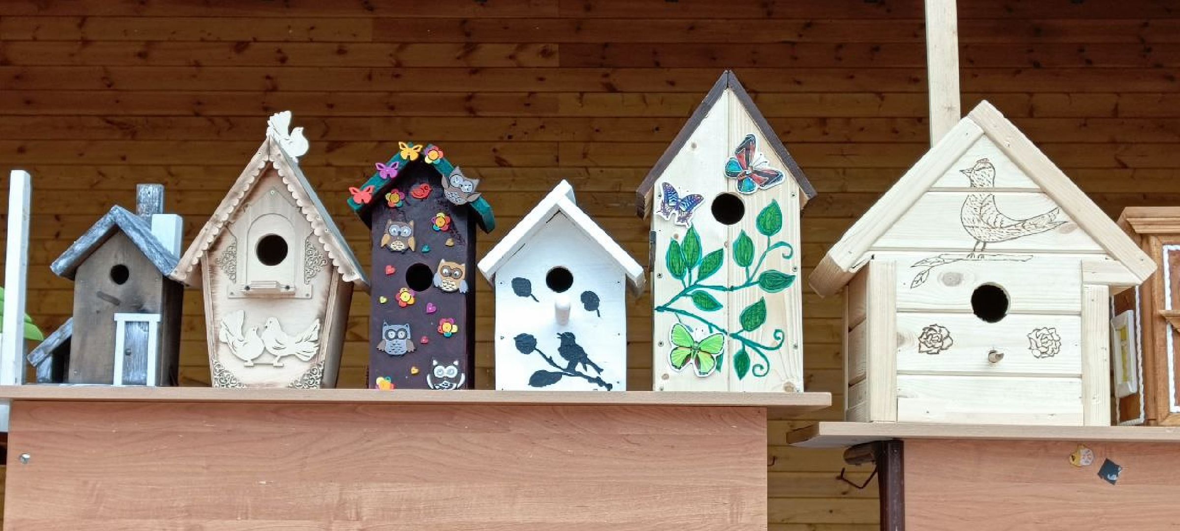 Талдом, Парк Победа, Пернатые в парках,