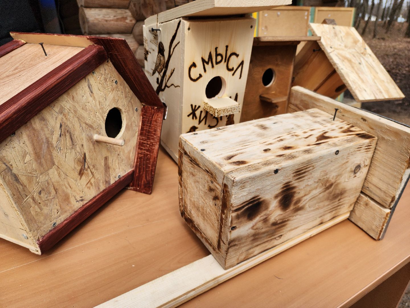 Экология, скворечник, Лучший скворечник, Конкурс, Руза, рузский городской округ, конкурс скворечников,