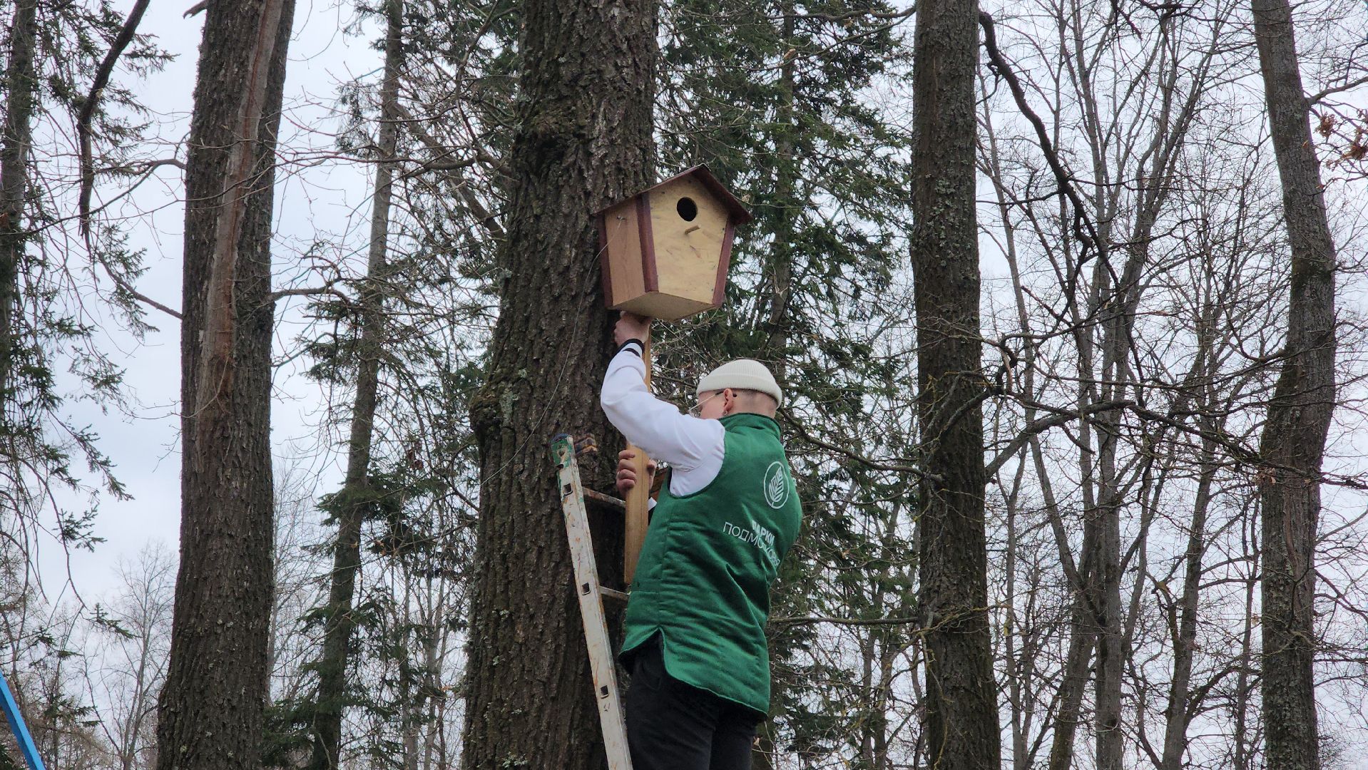 Экология, скворечник, Лучший скворечник, Конкурс, Руза, рузский городской округ, конкурс скворечников,
