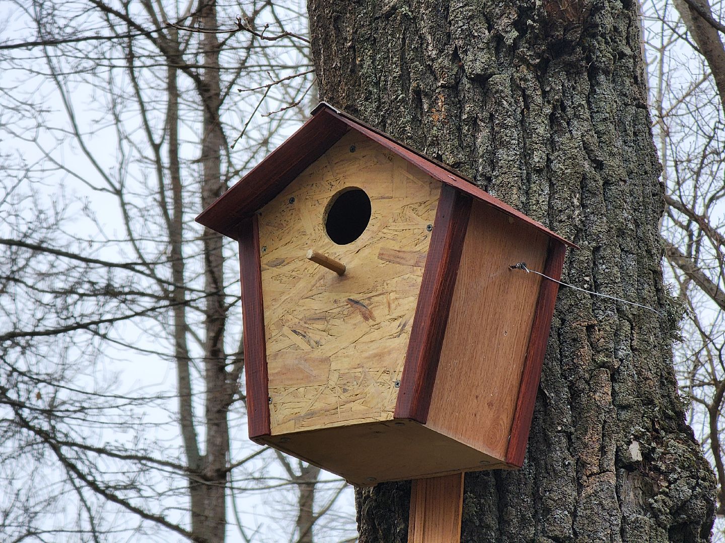 Экология, скворечник, Лучший скворечник, Конкурс, Руза, рузский городской округ, конкурс скворечников,