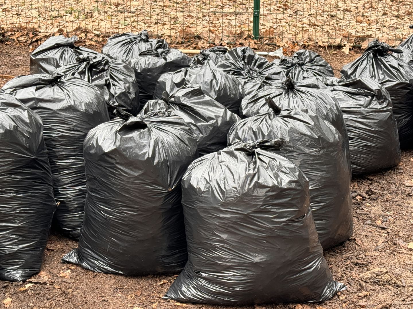 Одинцово, Месячник чистоты, Парки подмосковья,