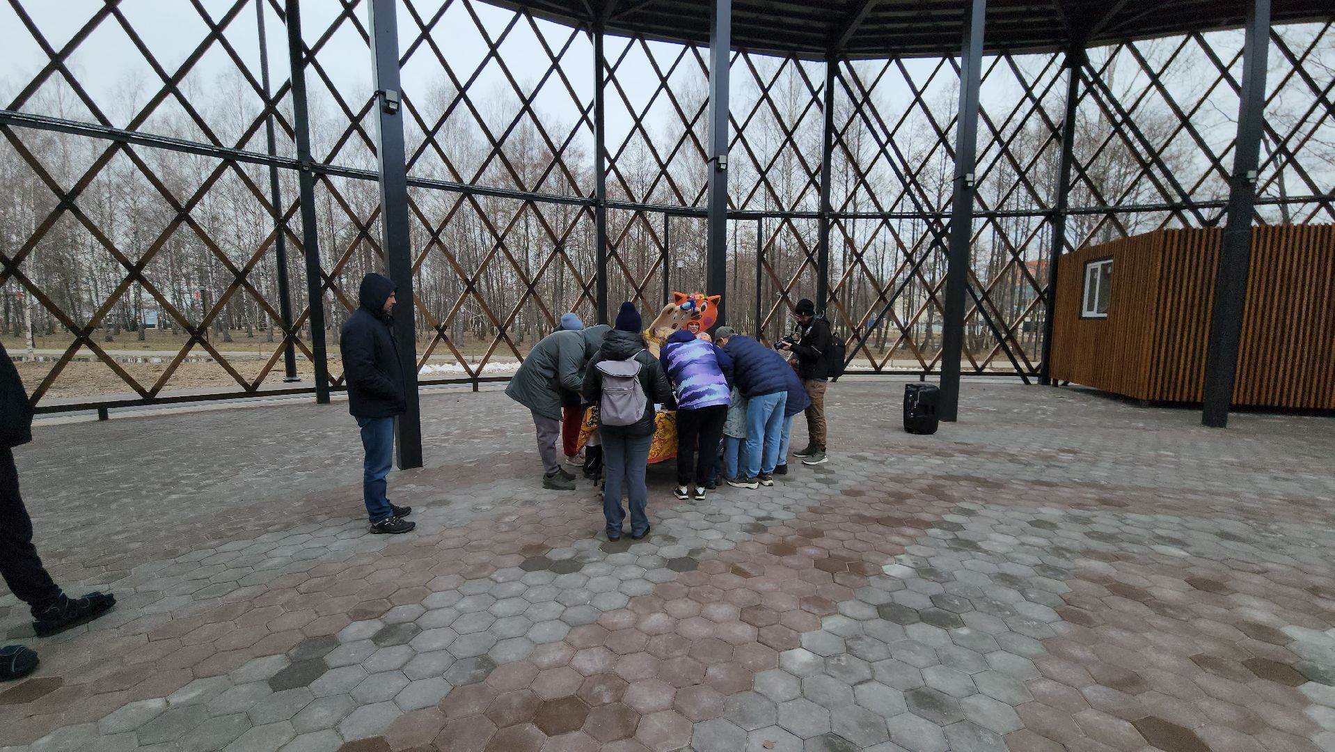 егорьевск, парк, парк 200 лет Егорьевску, птицы, пластилиновая ворона, пернатые в парке, голоса птиц, дети,