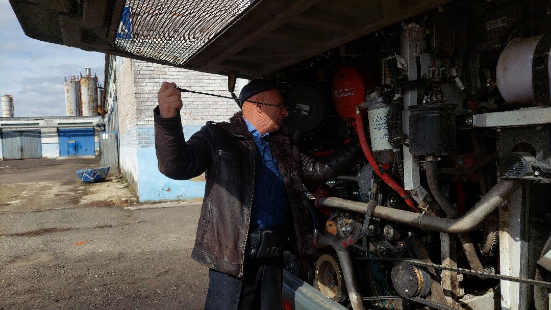 транспорт, династия, общество, водители