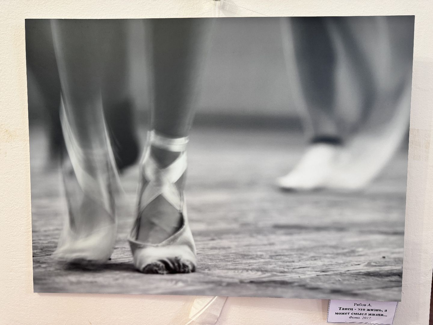 Солнечногорск, Фотовыставка, Ансамбль Солнышко, хореограф, Юбилей ансамбля,