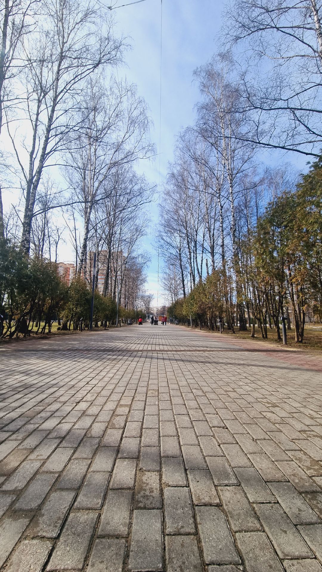 Подмосковье, Ивантеевка, благоустройство