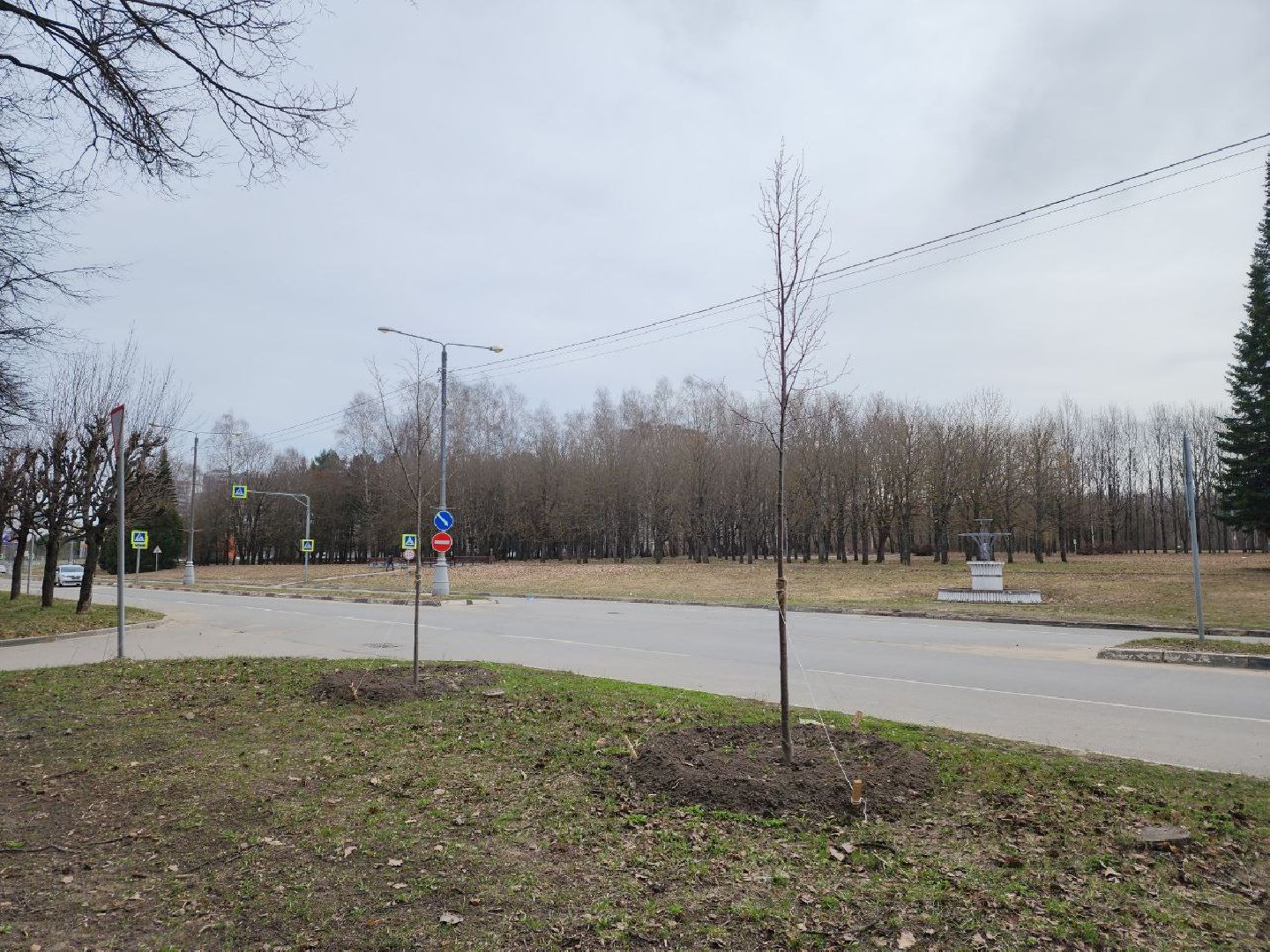 пущино, экология, благоустойство, деревья,