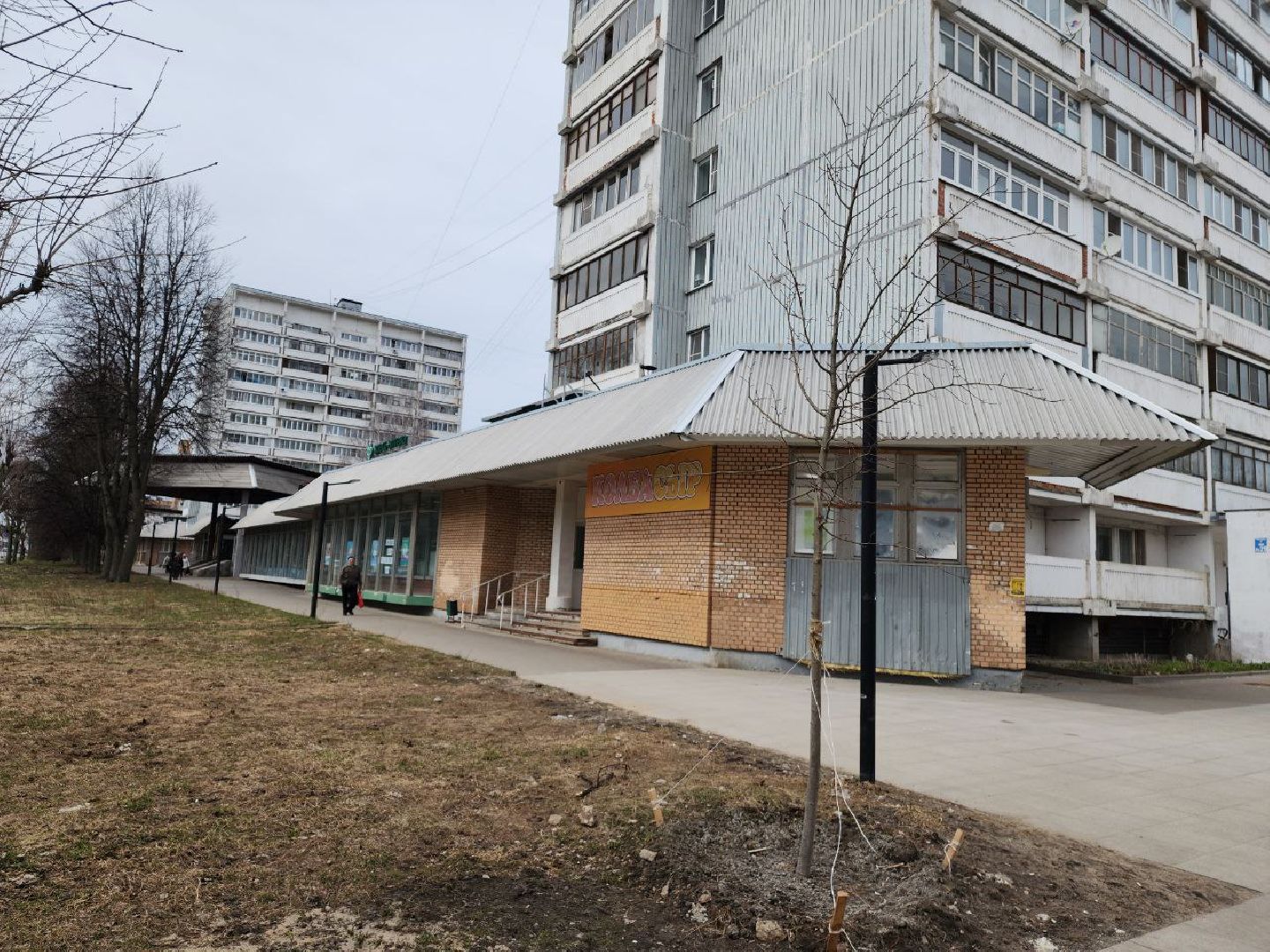 пущино, экология, благоустойство, деревья,