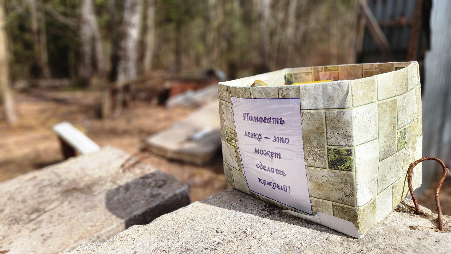 хвостатый рай, благотворительность, протвино, собаки, помощь,