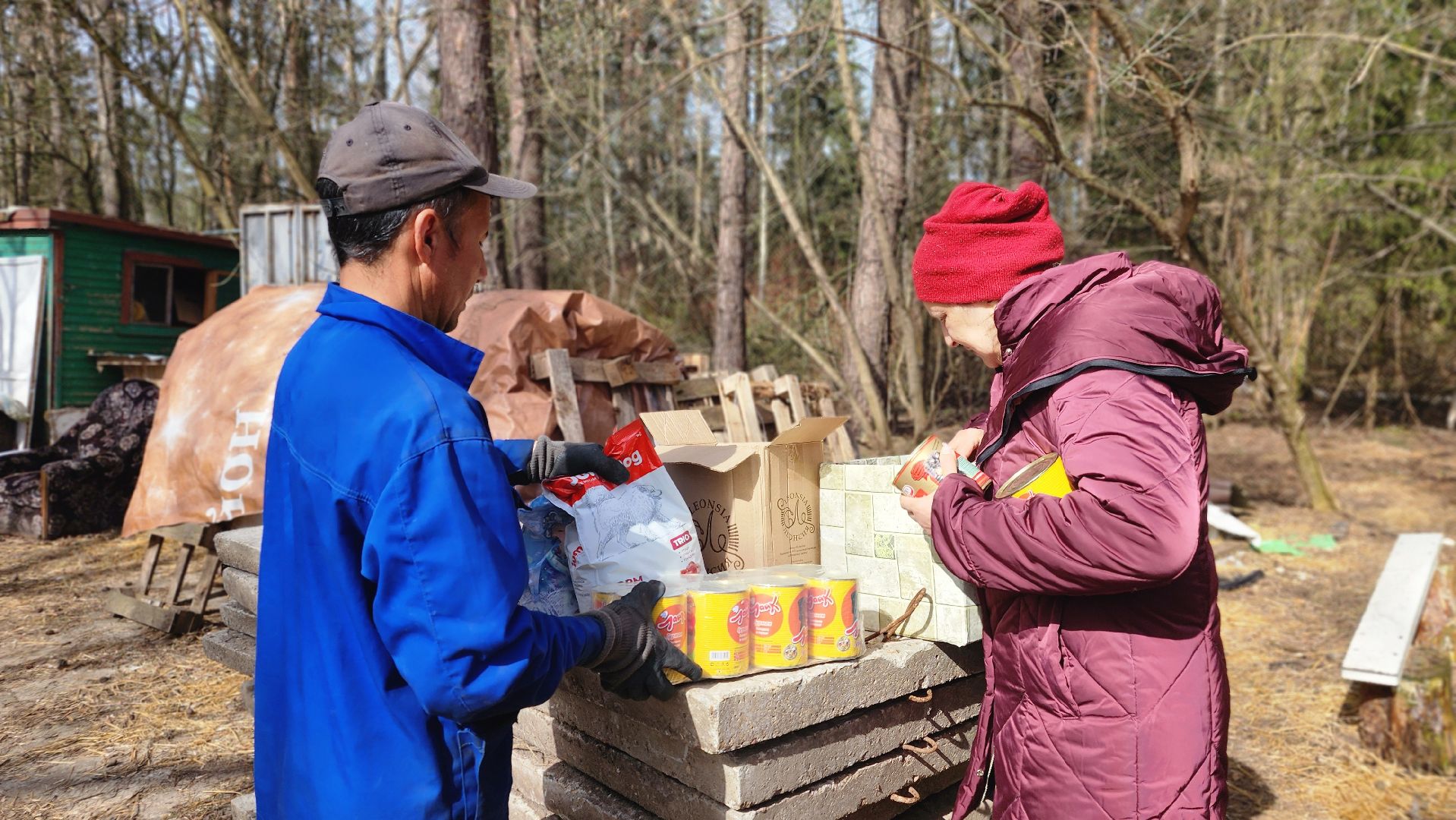 хвостатый рай, благотворительность, протвино, собаки, помощь,