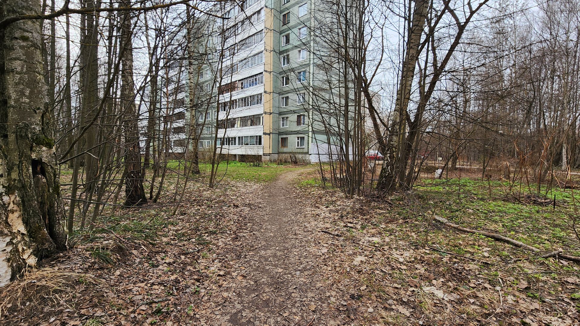 народные тропы, благоустройство, комфорт жителей, тропинки, пешеходные дорожки,