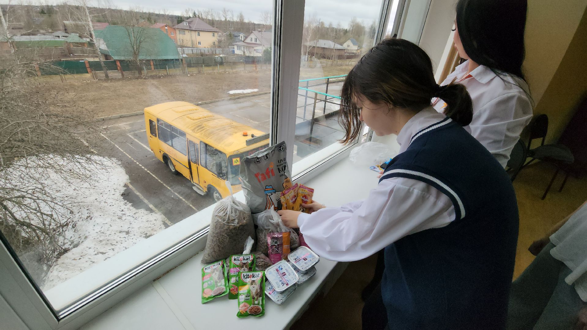 Сбор кормов, бездомные животные, помощь бездомным животным, лицей, нестеровский лицей, руза, рузский городской округ,