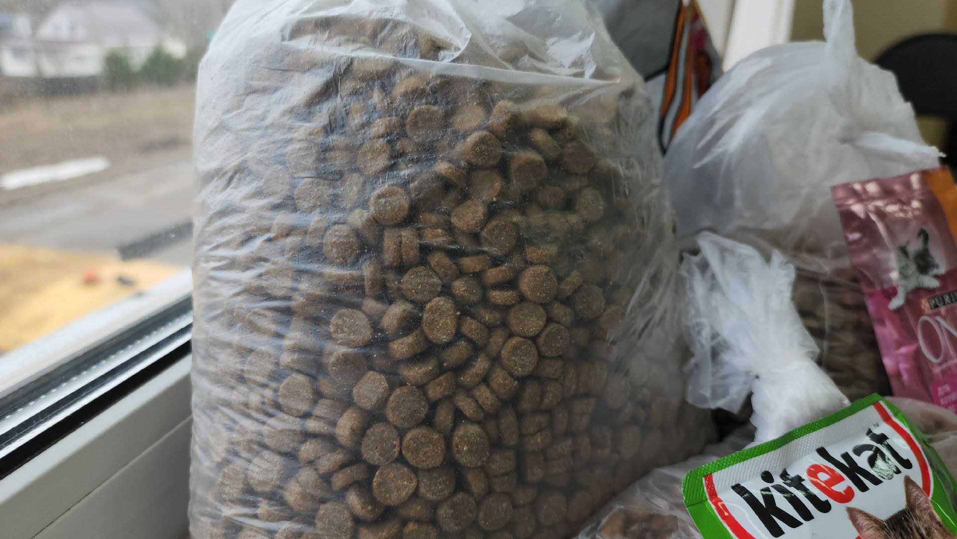 Сбор кормов, бездомные животные, помощь бездомным животным, лицей, нестеровский лицей, руза, рузский городской округ,