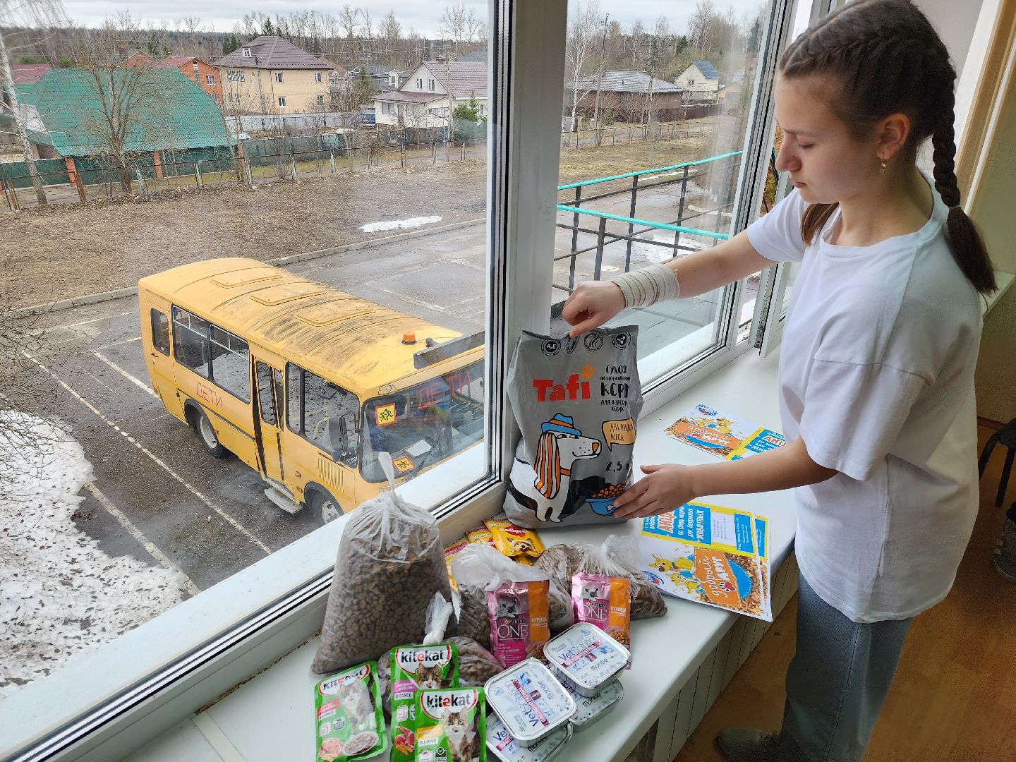 Сбор кормов, бездомные животные, помощь бездомным животным, лицей, нестеровский лицей, руза, рузский городской округ,