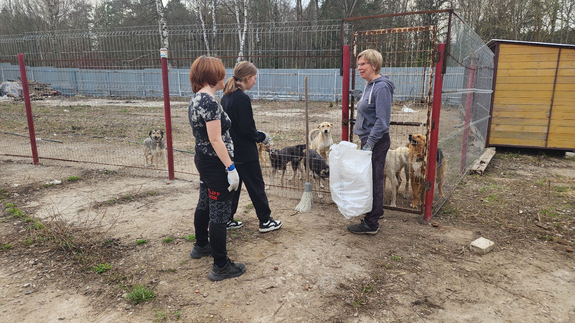хвостатый рай, субботник, приют, волонтеры подмосковья, протвино,