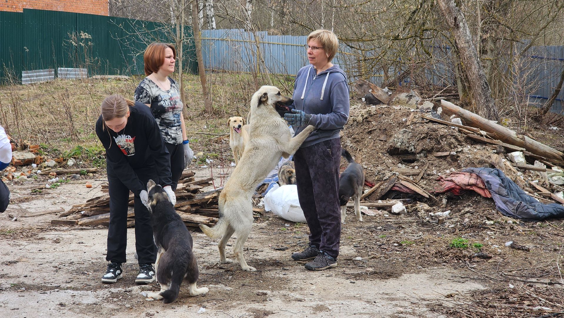 хвостатый рай, субботник, приют, волонтеры подмосковья, протвино,