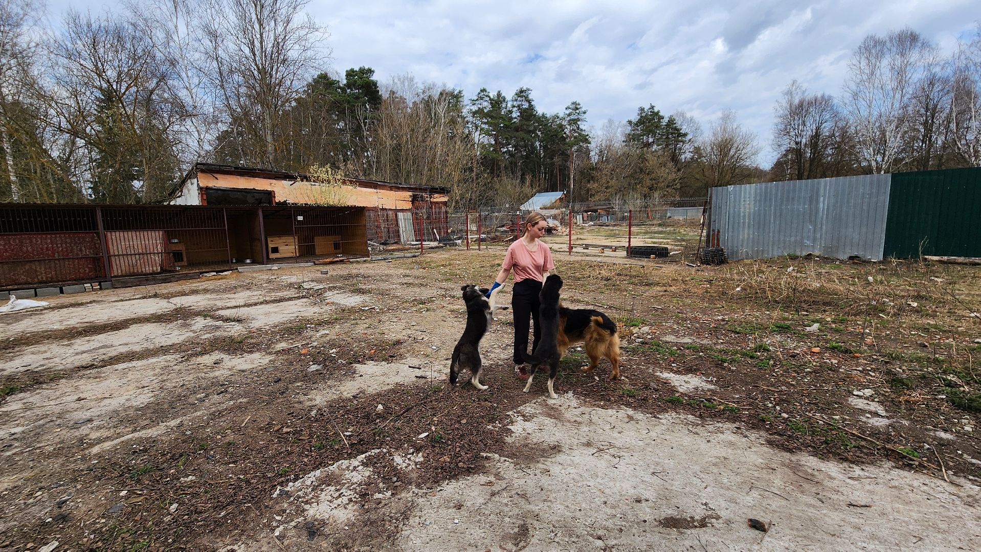 хвостатый рай, субботник, приют, волонтеры подмосковья, протвино,