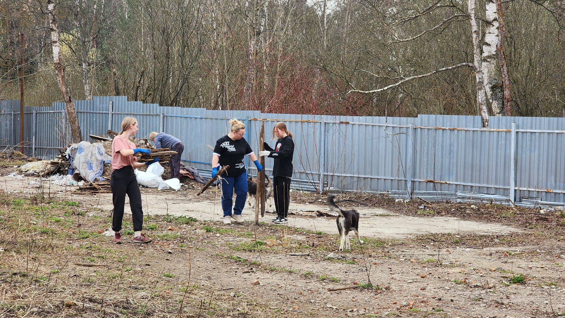 хвостатый рай, субботник, приют, волонтеры подмосковья, протвино,
