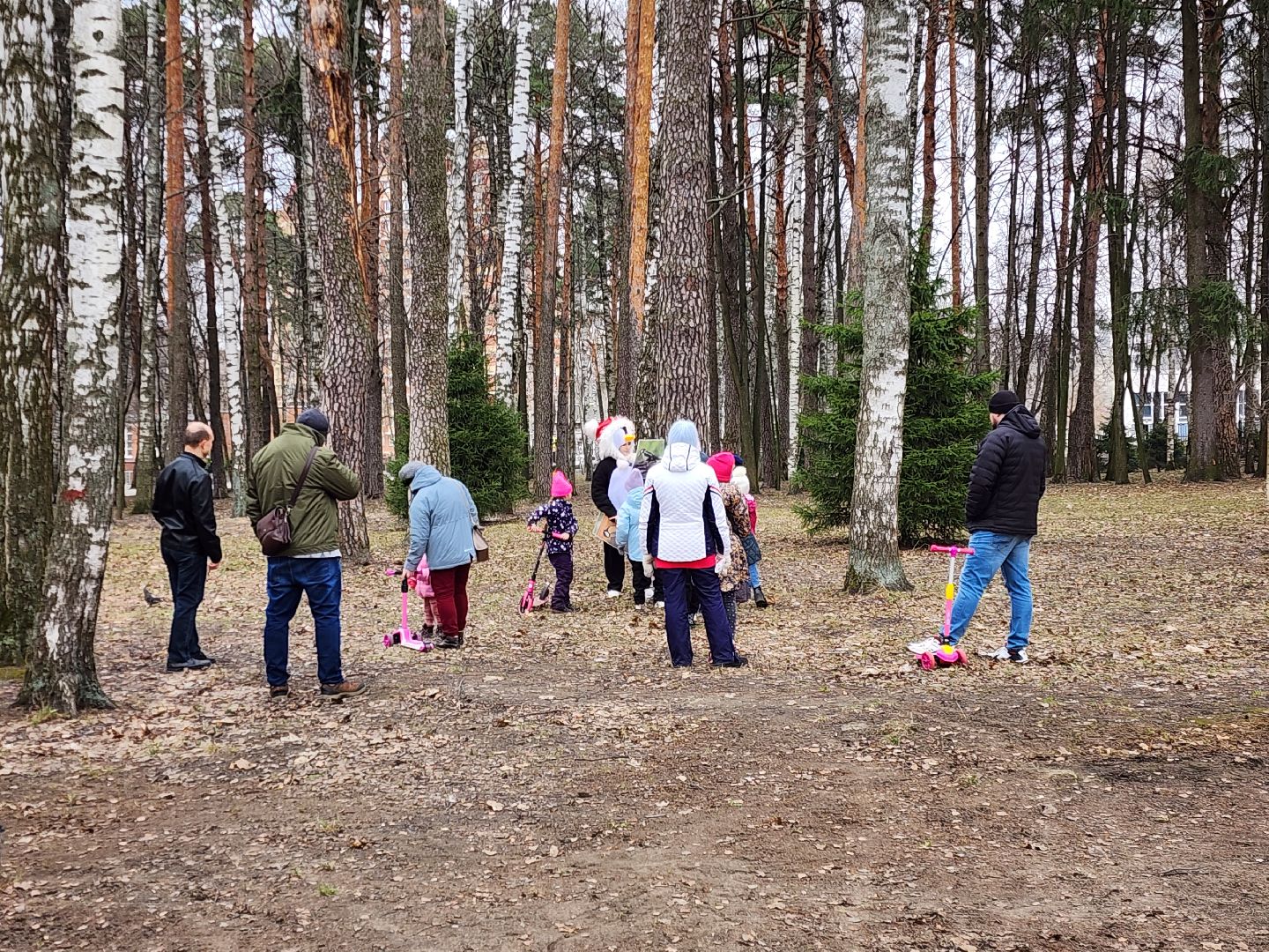 ногинск, парки подмосковья, птица,