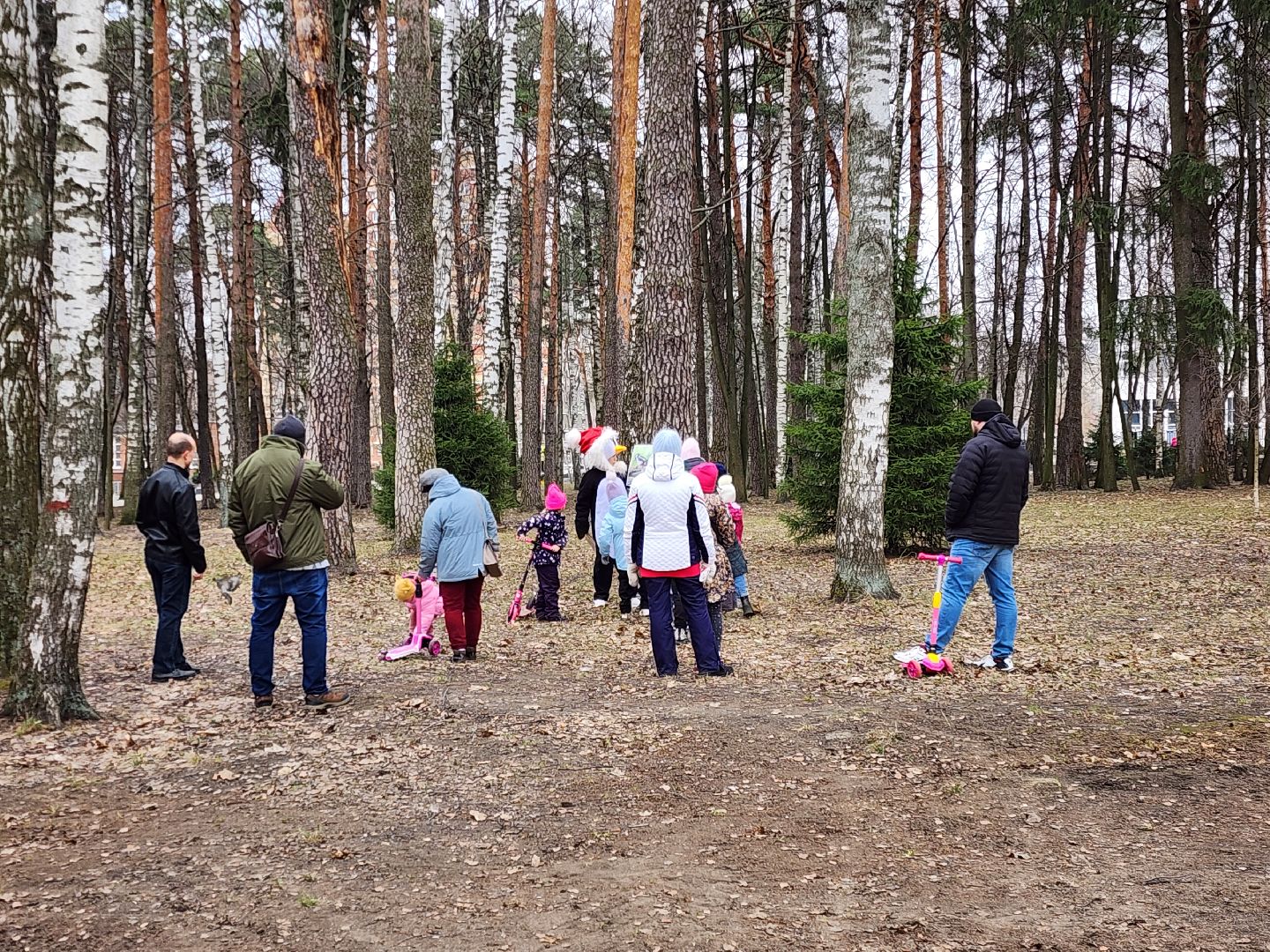 ногинск, парки подмосковья, птица,