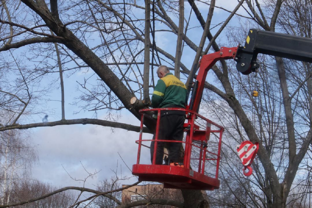 Пущино, благоустройство, уборка, весна, Подмосковье