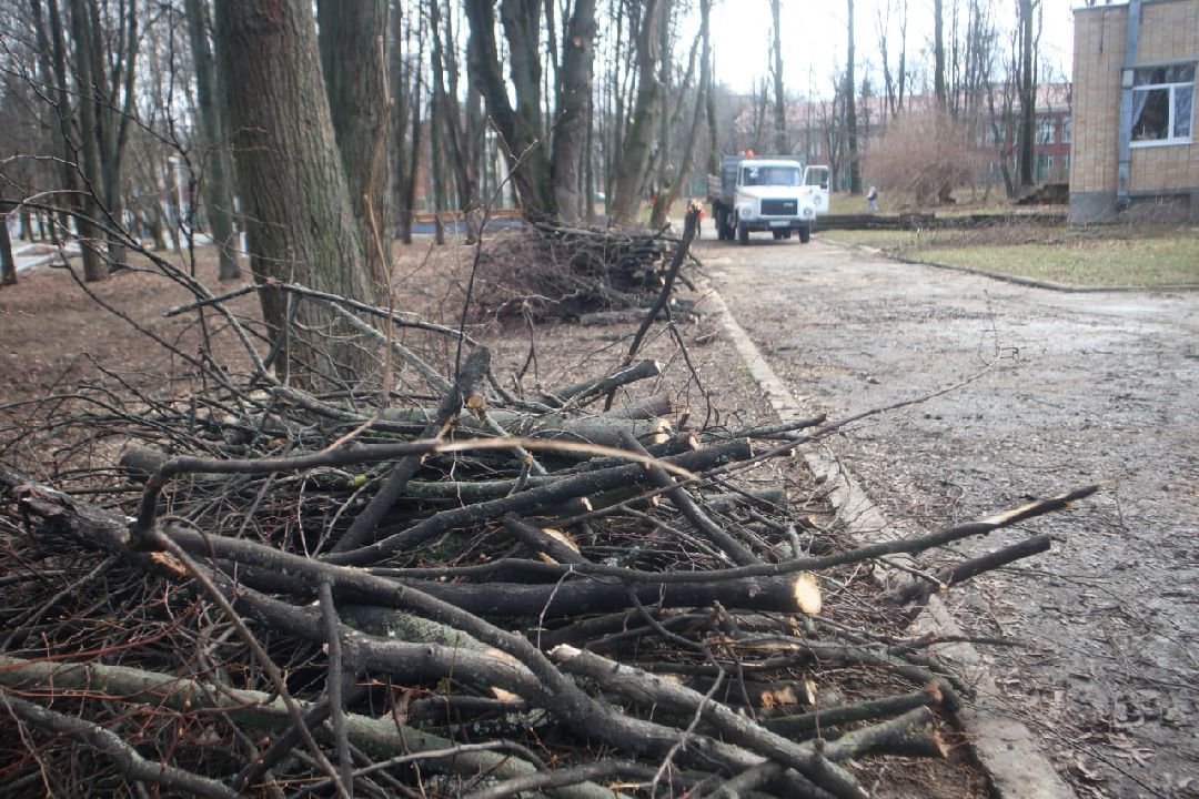 Пущино, благоустройство, уборка, весна, Подмосковье