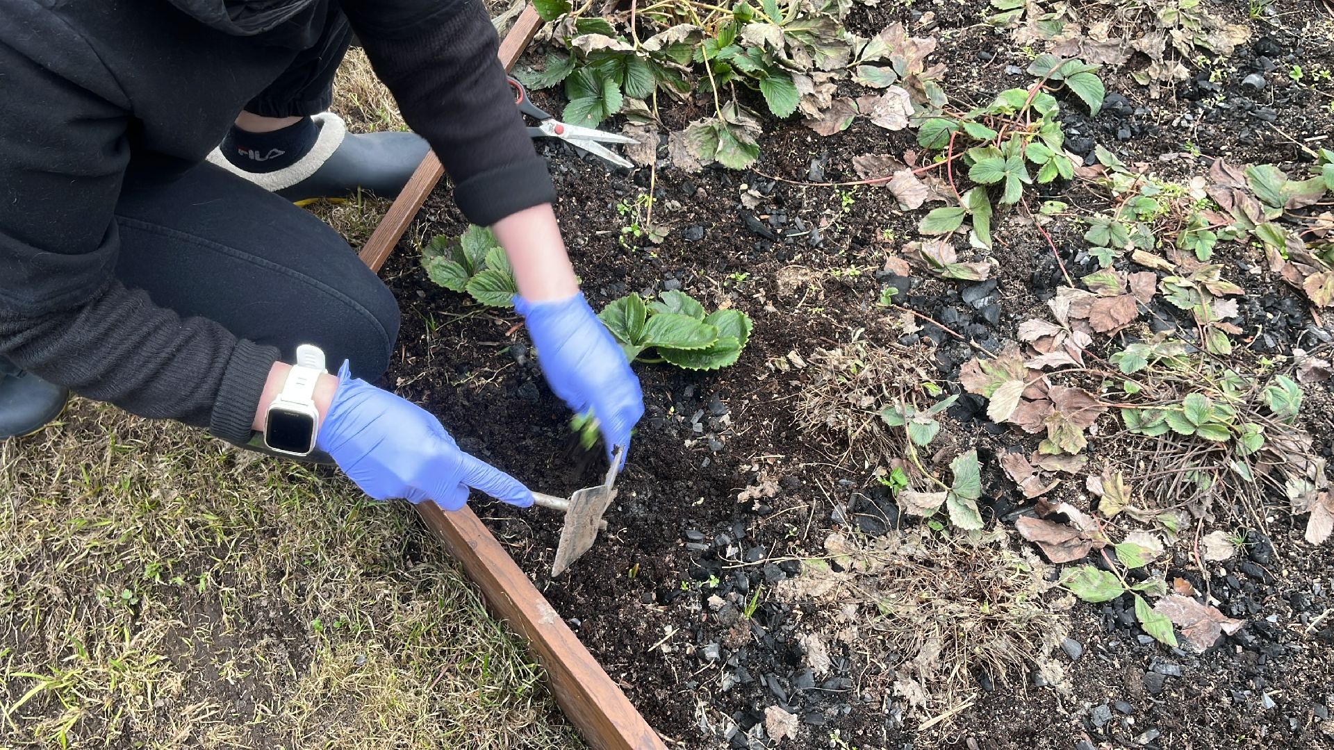 дача, дачники, дачный сезон, уборка,