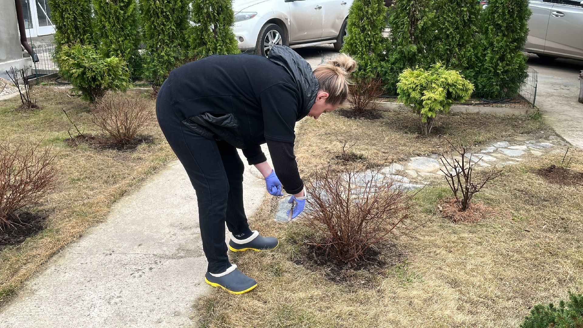 дача, дачники, дачный сезон, уборка,