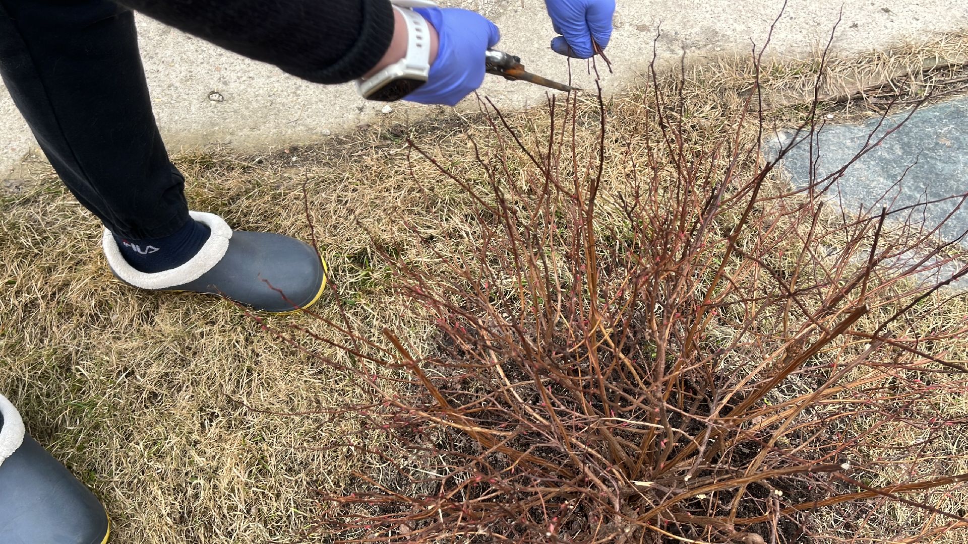 дача, дачники, дачный сезон, уборка,