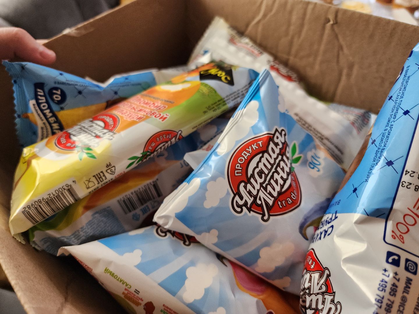 руза, запорожье, рузский городской округ, московская область, подмосковье, приемные дети, приемная семья,