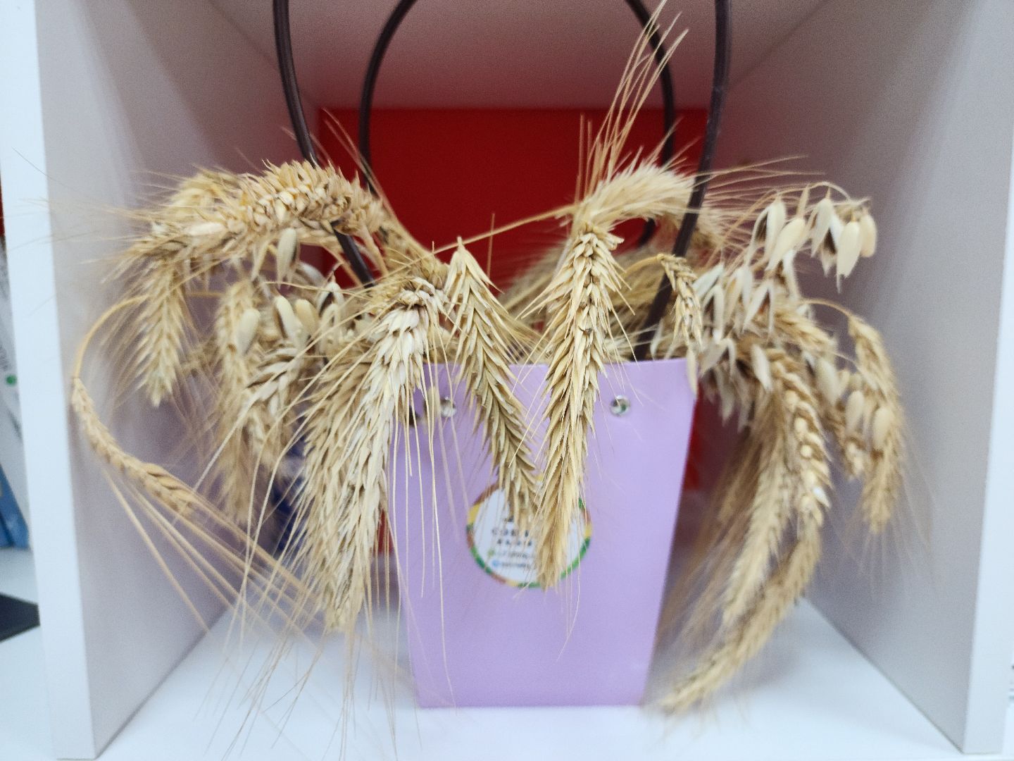 Звенигород, Образование, Конкурс,