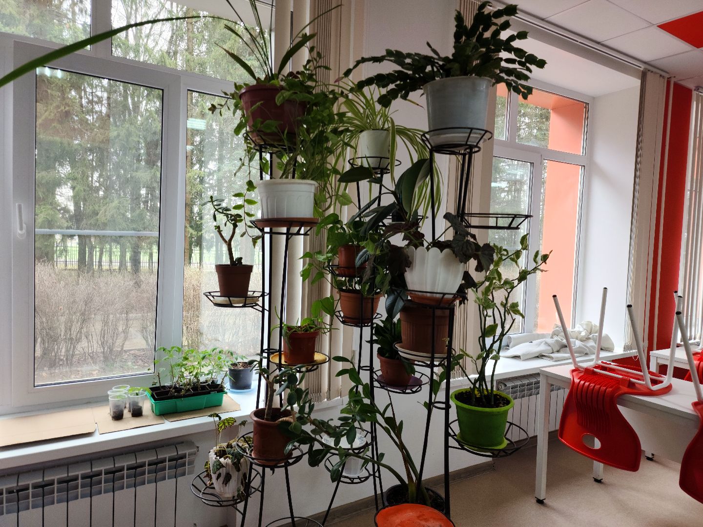 Звенигород, Образование, Конкурс,