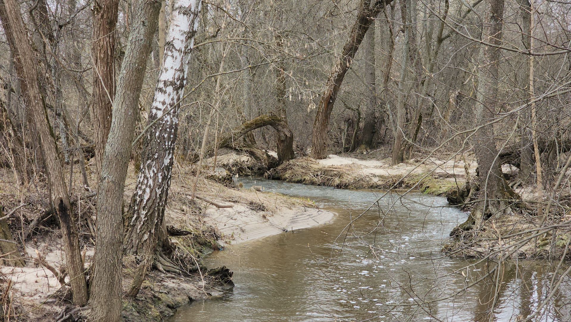 ступино, паводок, разлив оки,