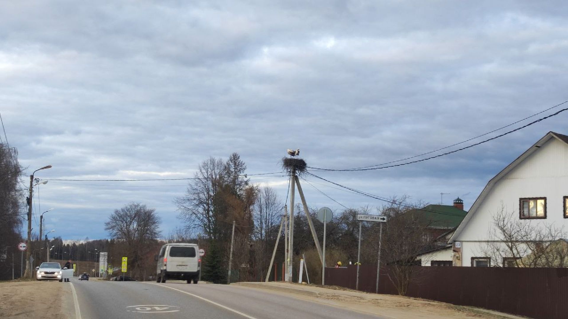 волоколамск, аисты, село спасс,