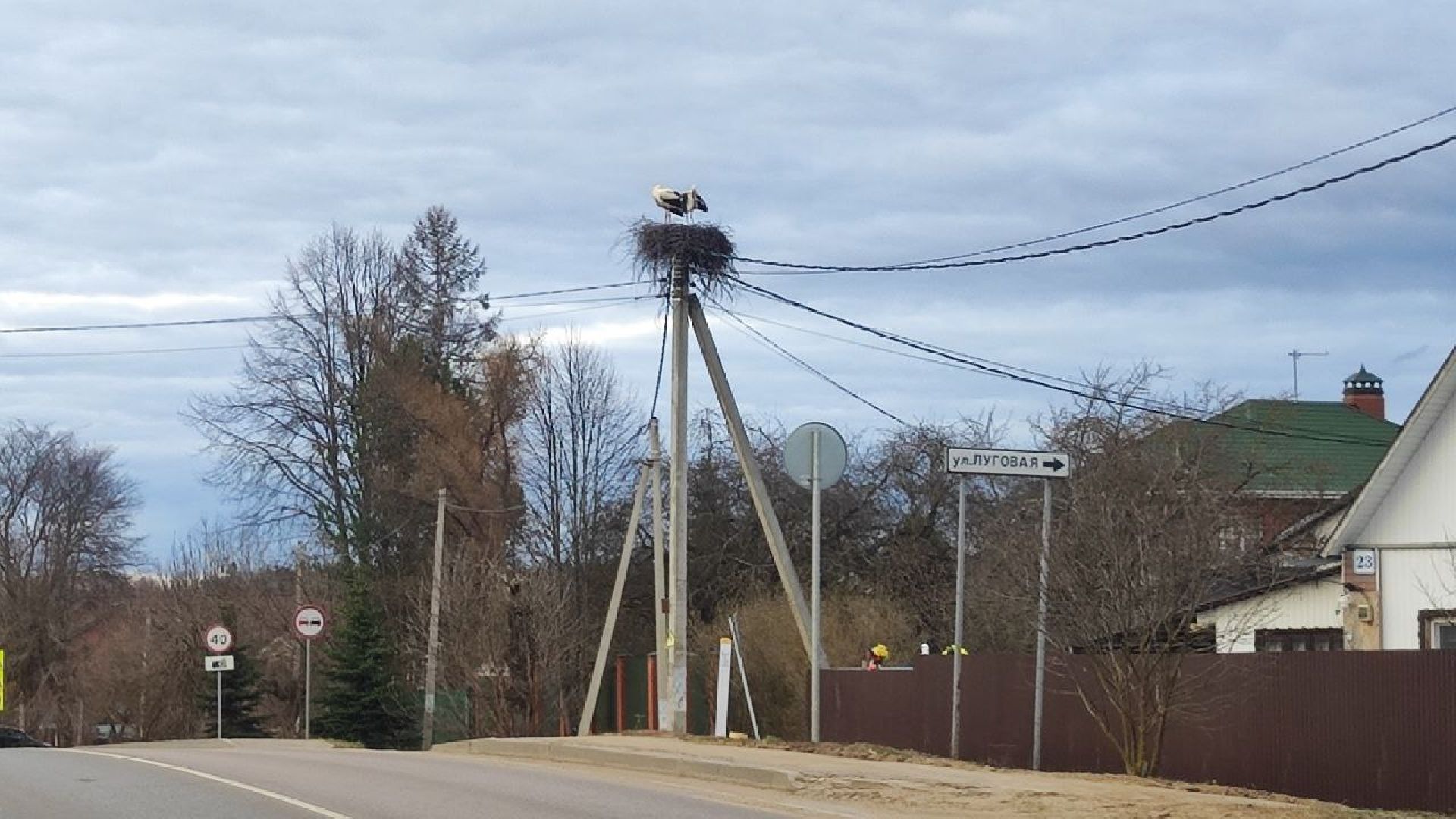 волоколамск, аисты, село спасс,