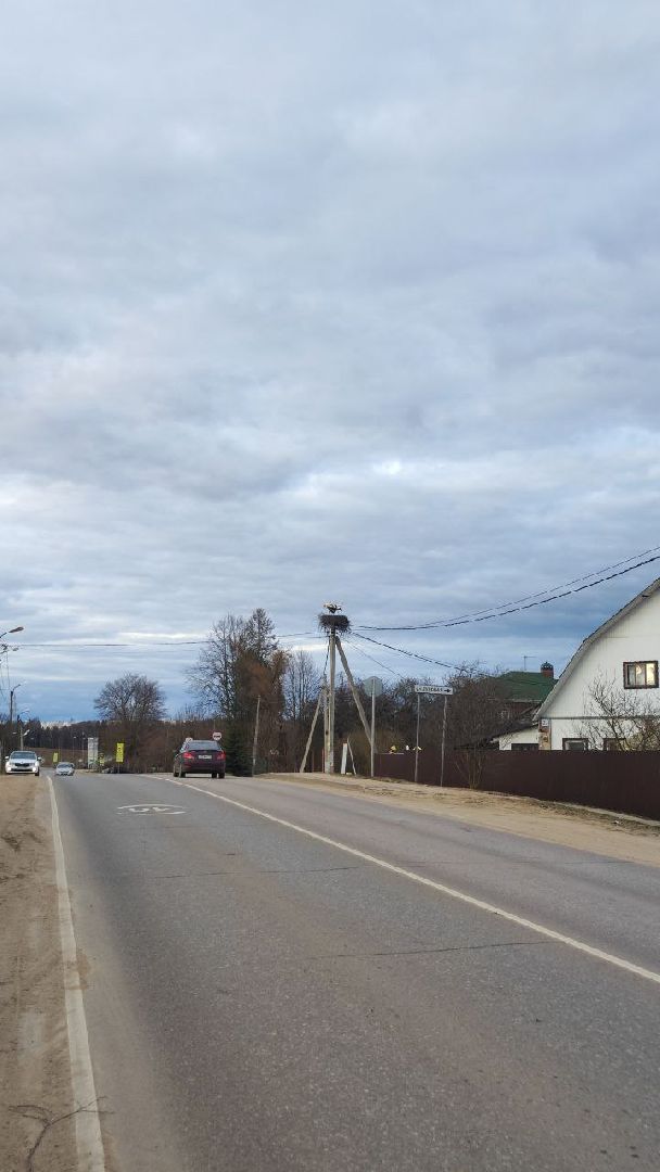 волоколамск, аисты, село спасс,