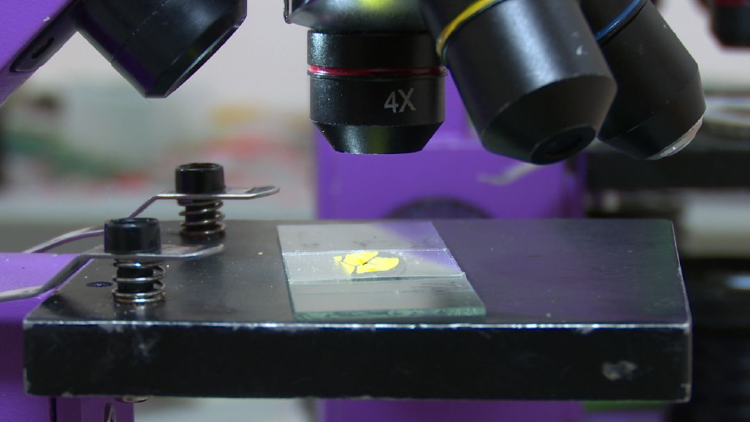 Реутов, музей, выставка, минералы, микроскоп, озеро Байкал