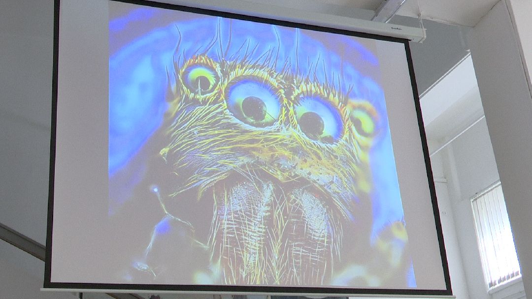 Реутов, музей, выставка, минералы, микроскоп, озеро Байкал