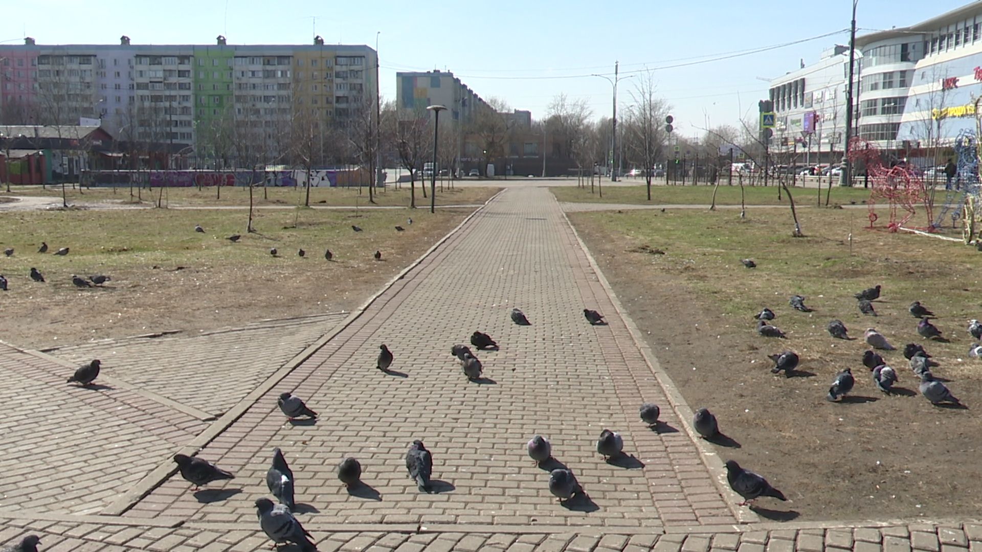 Реутов, парки, благоустройсво, уборка города, субботник, чистим, моем,