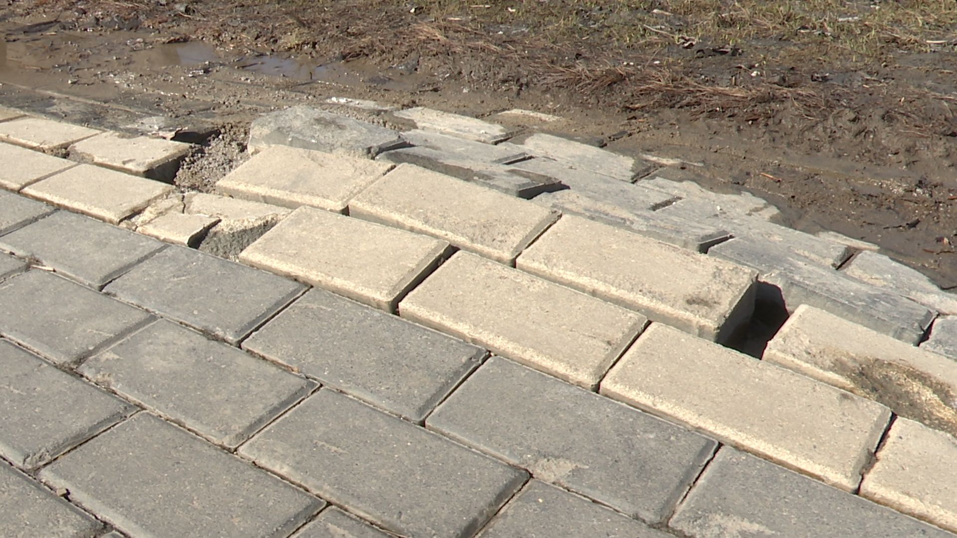 Реутов, парки, благоустройсво, уборка города, субботник, чистим, моем,