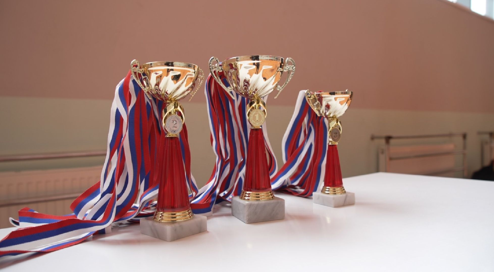 А ну ка, девушки, лицей 3, Домодедово, юнармия,