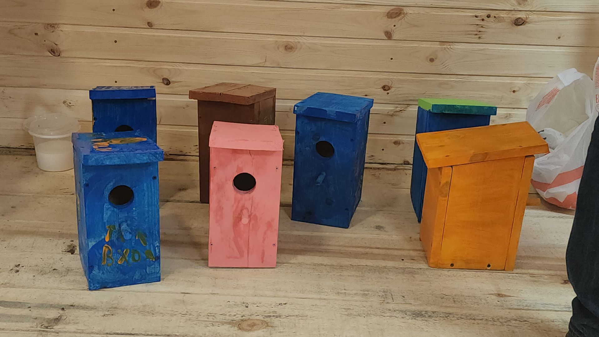 долгопрудный, парки, пернатые в парках, скворечник, экопрогулка, мастер-класс,