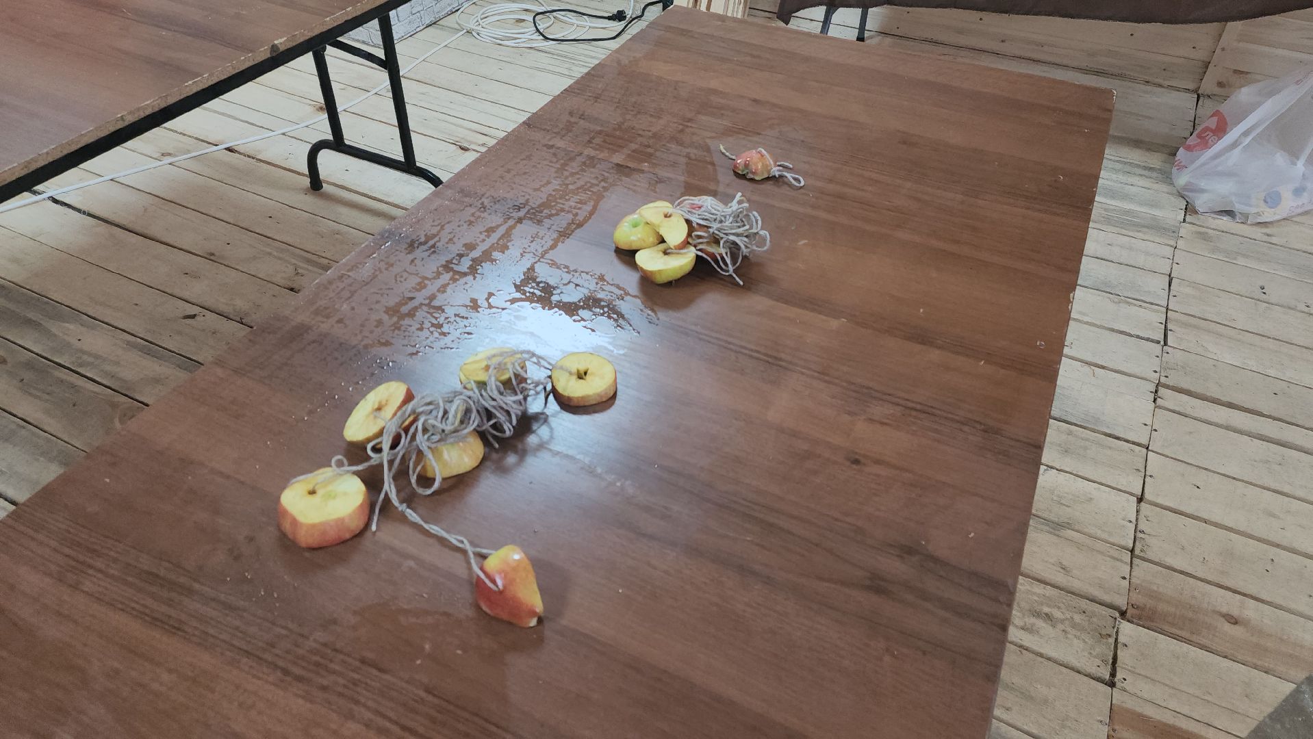 долгопрудный, парки, пернатые в парках, скворечник, экопрогулка, мастер-класс,