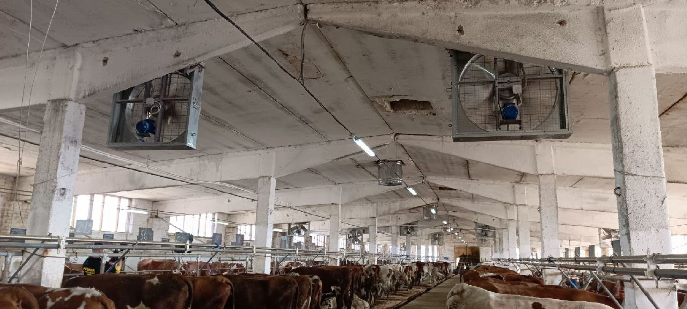 Дмитров, Мосагрофуд, Минсельхоз, Мининвест,